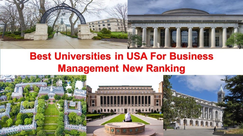 Business & Management in the USA: A Career Counselor’s View on Building Leadership and Real-World Skills