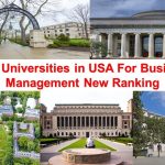 Business & Management in the USA: A Career Counselor’s View on Building Leadership and Real-World Skills