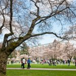 Campus Life in the USA: My Story as a Student at an Ivy League College