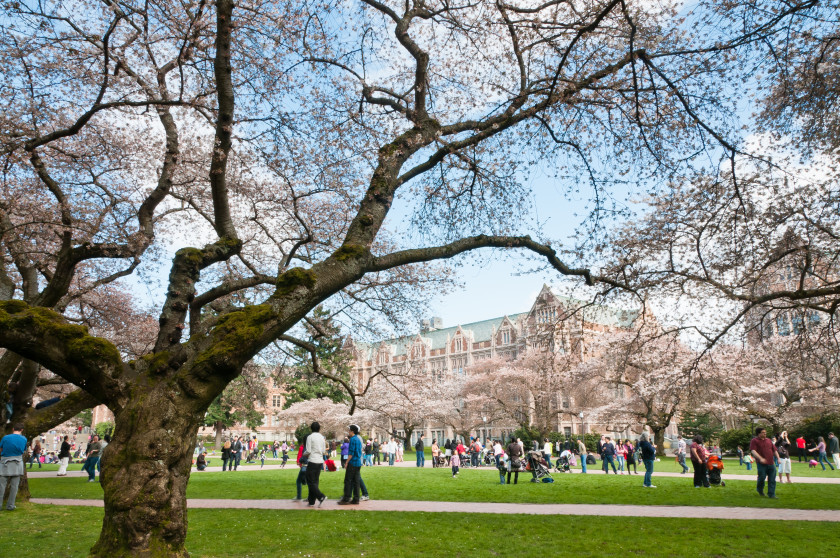 Campus Life in the USA: My Story as a Student at an Ivy League College